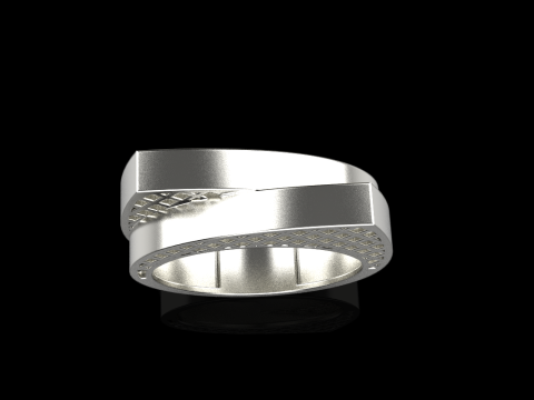 リングモデル 794 3Dプリントモデル