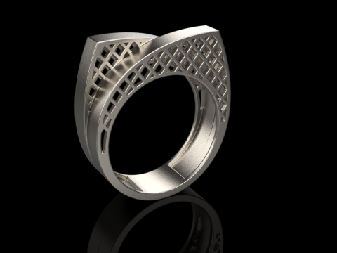 リングモデル 794 3Dプリントモデル