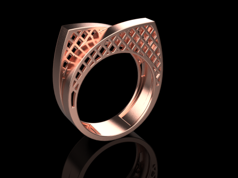 リングモデル 794 3Dプリントモデル