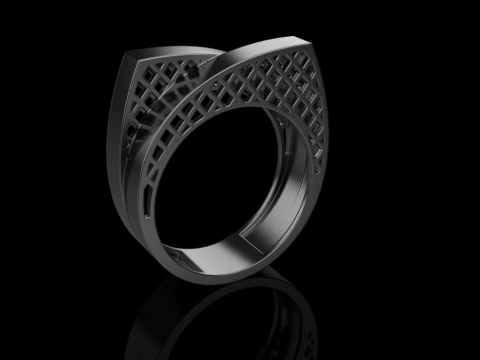 リングモデル 794 3Dプリントモデル