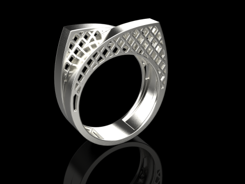 リングモデル 794 3Dプリントモデル