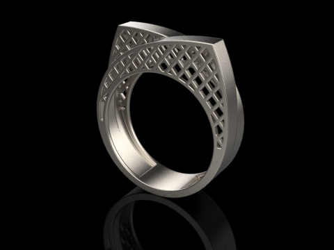 リングモデル 794 3Dプリントモデル