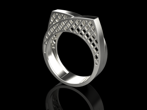 リングモデル 794 3Dプリントモデル