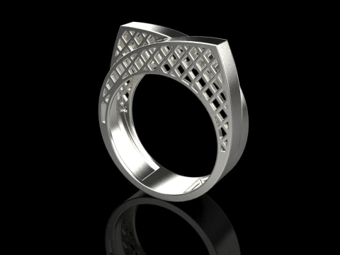 Ring model 794 3D Print Model
