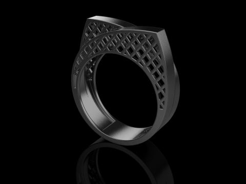 リングモデル 794 3Dプリントモデル