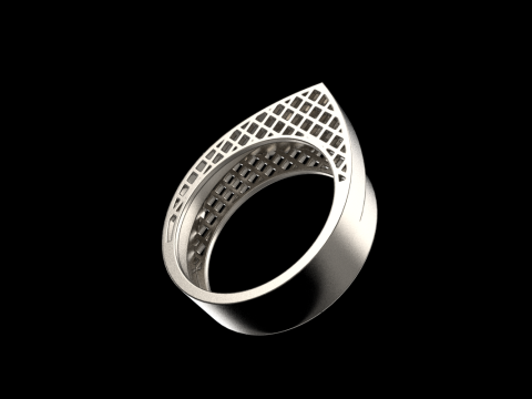 リングモデル 794 3Dプリントモデル