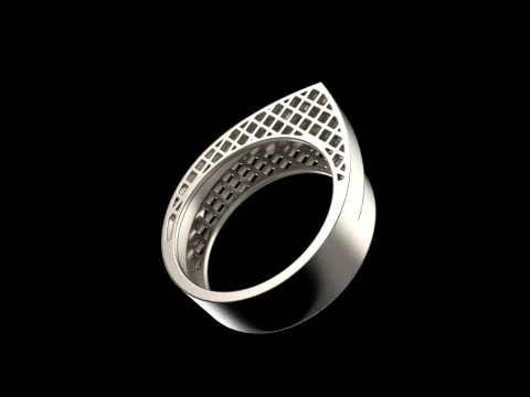 Ring model 794 3D Print Model