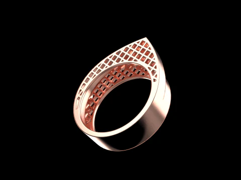 Ring model 794 3D Print Model