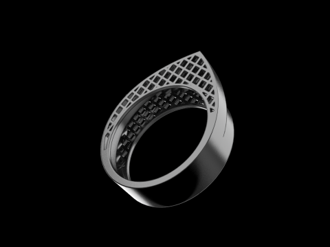 リングモデル 794 3Dプリントモデル