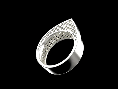 Ring model 794 3D Print Model