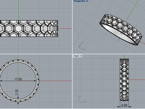 Anello modello 793 Modello di stampa 3D