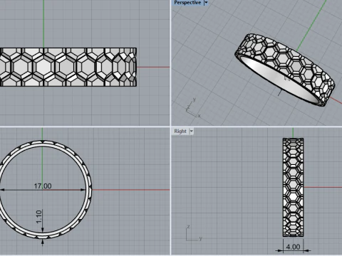 Ring model 793 3D Print Model