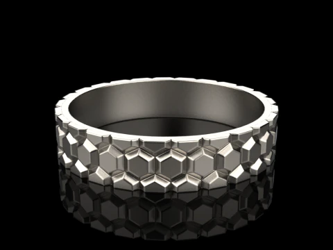 Ring model 793 3D Print Model