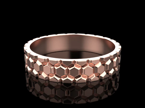 Ring model 793 3D Print Model