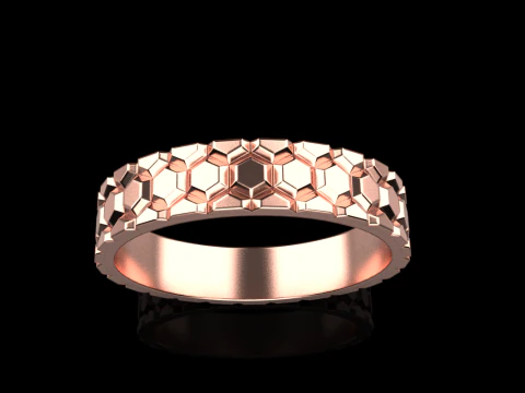 Ring model 793 3D Print Model