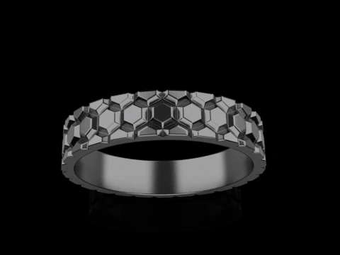 Ring model 793 3D Print Model