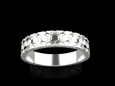 Ring model 793 3D Print Model