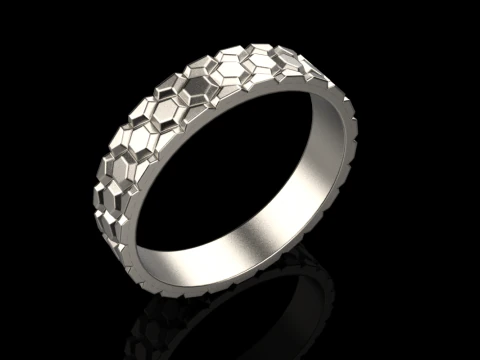 Ring model 793 3D Print Model