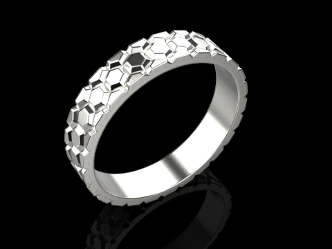 Ring model 793 3D Print Model