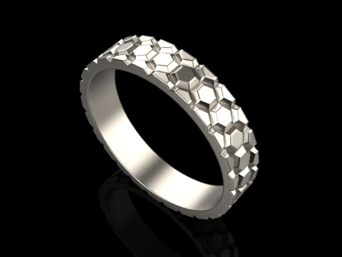 Ring model 793 3D Print Model