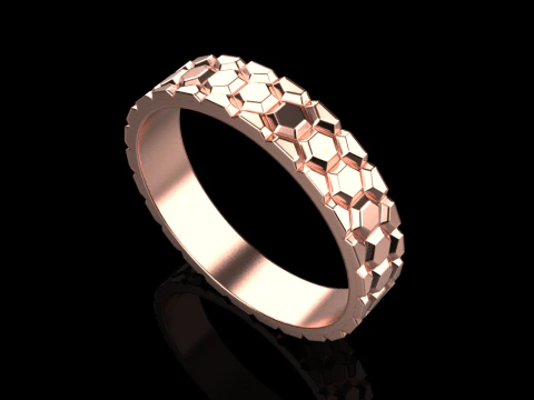 Ring model 793 3D Print Model