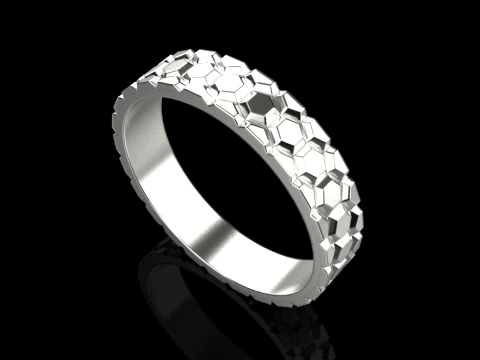 Ring model 793 3D Print Model