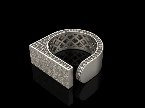 Texture ring model 775 3D Print Model
