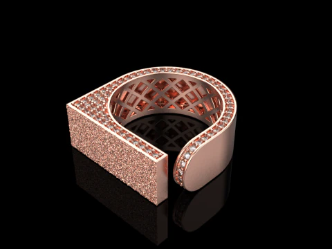 Texture ring model 775 3D Print Model