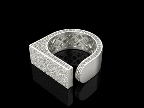 Texture ring model 775 3D Print Model