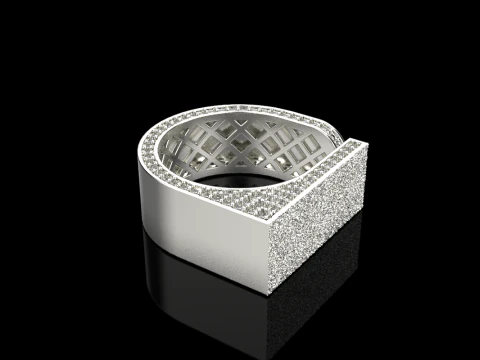 Texture ring model 775 3D Print Model