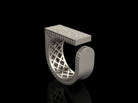 Texture ring model 775 3D Print Model