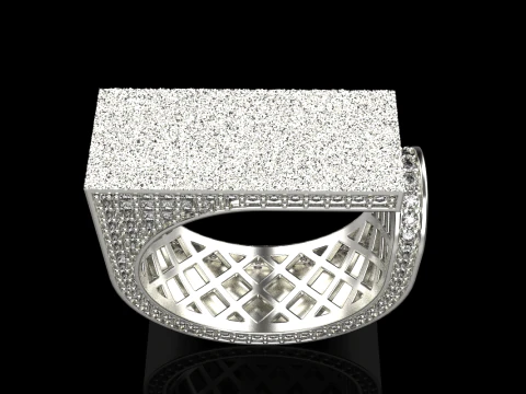 Texture ring model 775 3D Print Model
