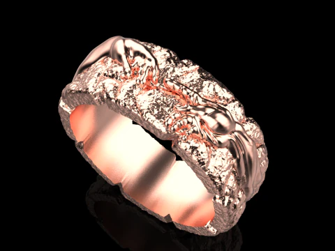 Hand Of God Ring Creation Of Adam model 713 3D Print Model