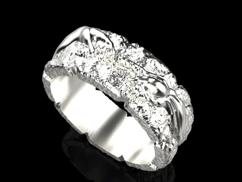 Hand Of God Ring Creation Of Adam model 713 3D Print Model