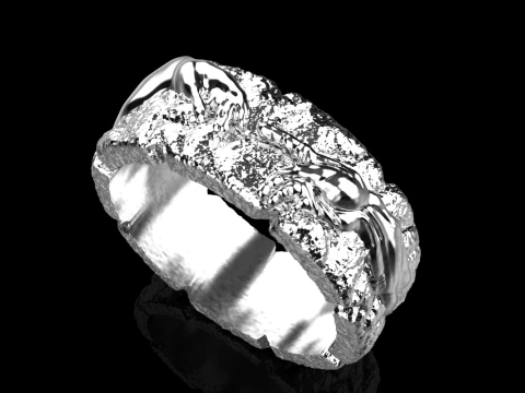 Hand Of God Ring Creation Of Adam model 713 3D Print Model