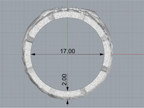 Hand Of God Ring Creation Of Adam model 713 3D Print Model