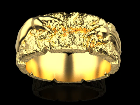 Hand Of God Ring Creation Of Adam model 713 3D Print Model
