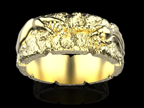 Hand Of God Ring Creation Of Adam model 713 3D Print Model