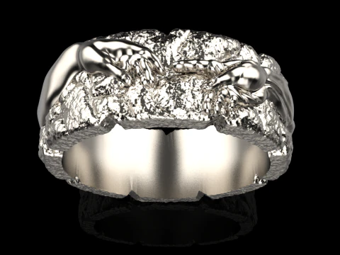 Hand Of God Ring Creation Of Adam model 713 3D Print Model