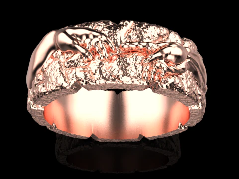 Hand Of God Ring Creation Of Adam model 713 3D Print Model