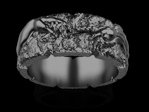 Hand Of God Ring Creation Of Adam model 713 3D Print Model