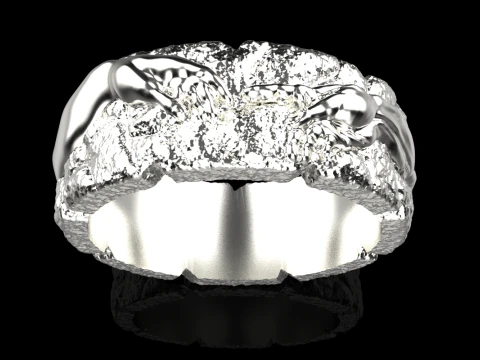 Hand Of God Ring Creation Of Adam model 713 3D Print Model