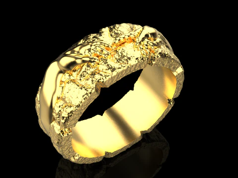 Hand Of God Ring Creation Of Adam model 713 3D Print Model