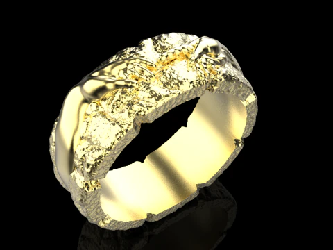 Hand Of God Ring Creation Of Adam model 713 3D Print Model