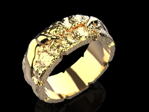 Hand Of God Ring Creation Of Adam model 713 3D Print Model