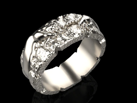 Hand Of God Ring Creation Of Adam model 713 3D Print Model