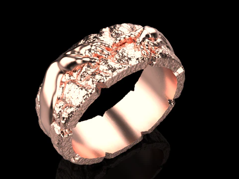 Hand Of God Ring Creation Of Adam model 713 3D Print Model