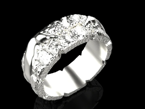 Hand Of God Ring Creation Of Adam model 713 3D Print Model