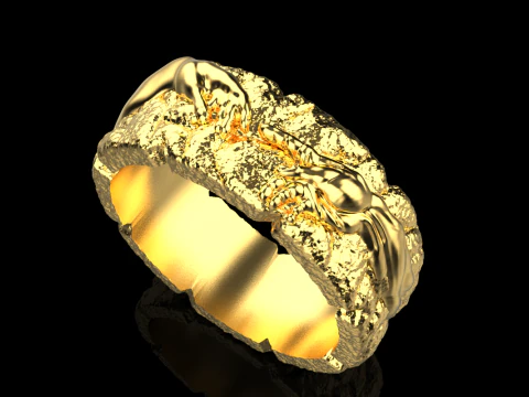 Hand Of God Ring Creation Of Adam model 713 3D Print Model