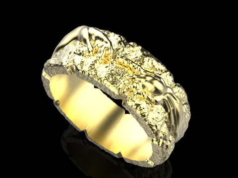 Hand Of God Ring Creation Of Adam model 713 3D Print Model